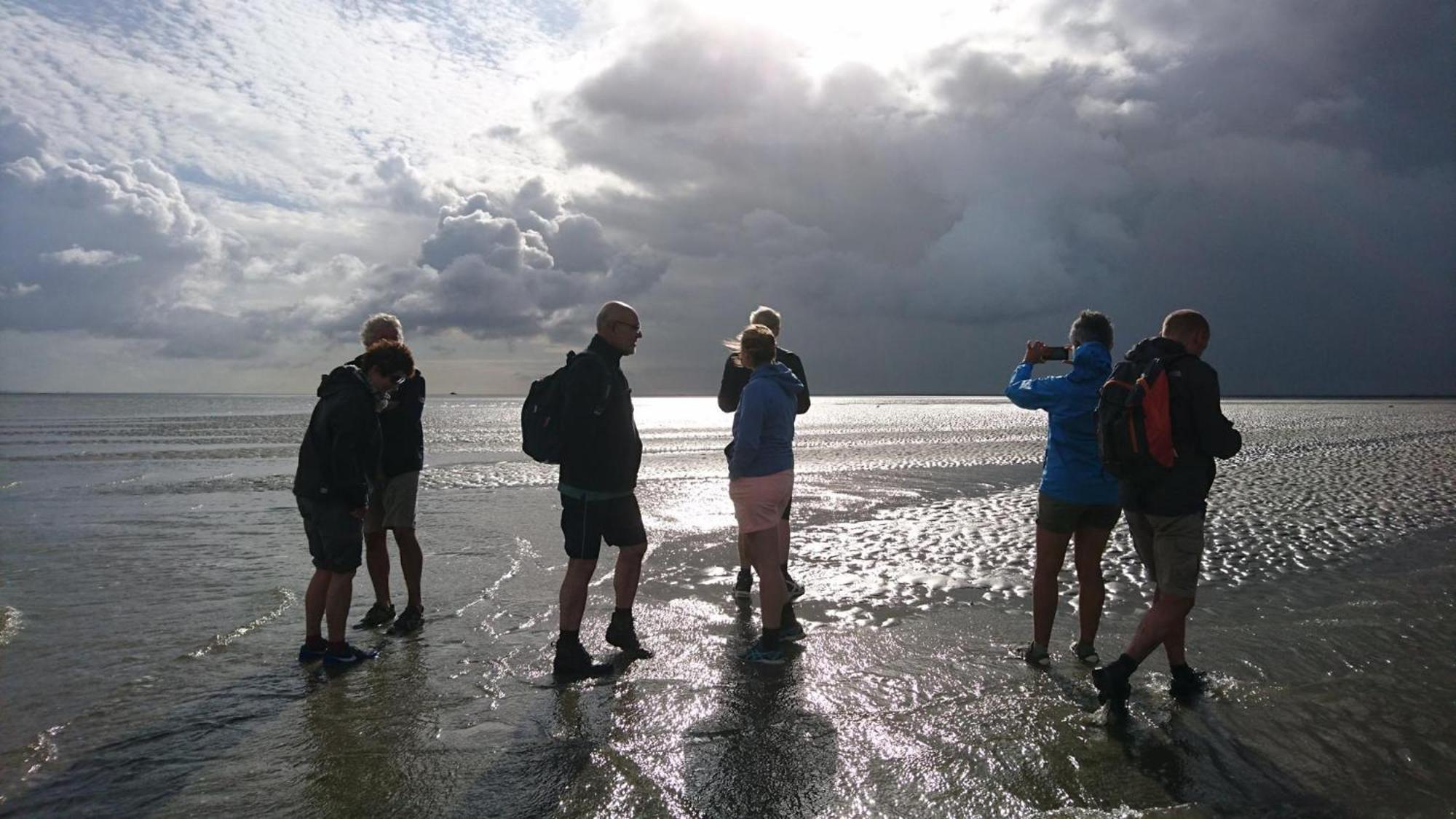 Vakantiehuisje Smoek Holwerd, Aan De Waddenzee Villa Exterior foto